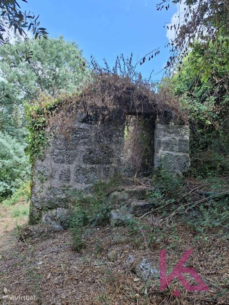 Quinta em Amarante para recuperação - Grande imagem: 3/20