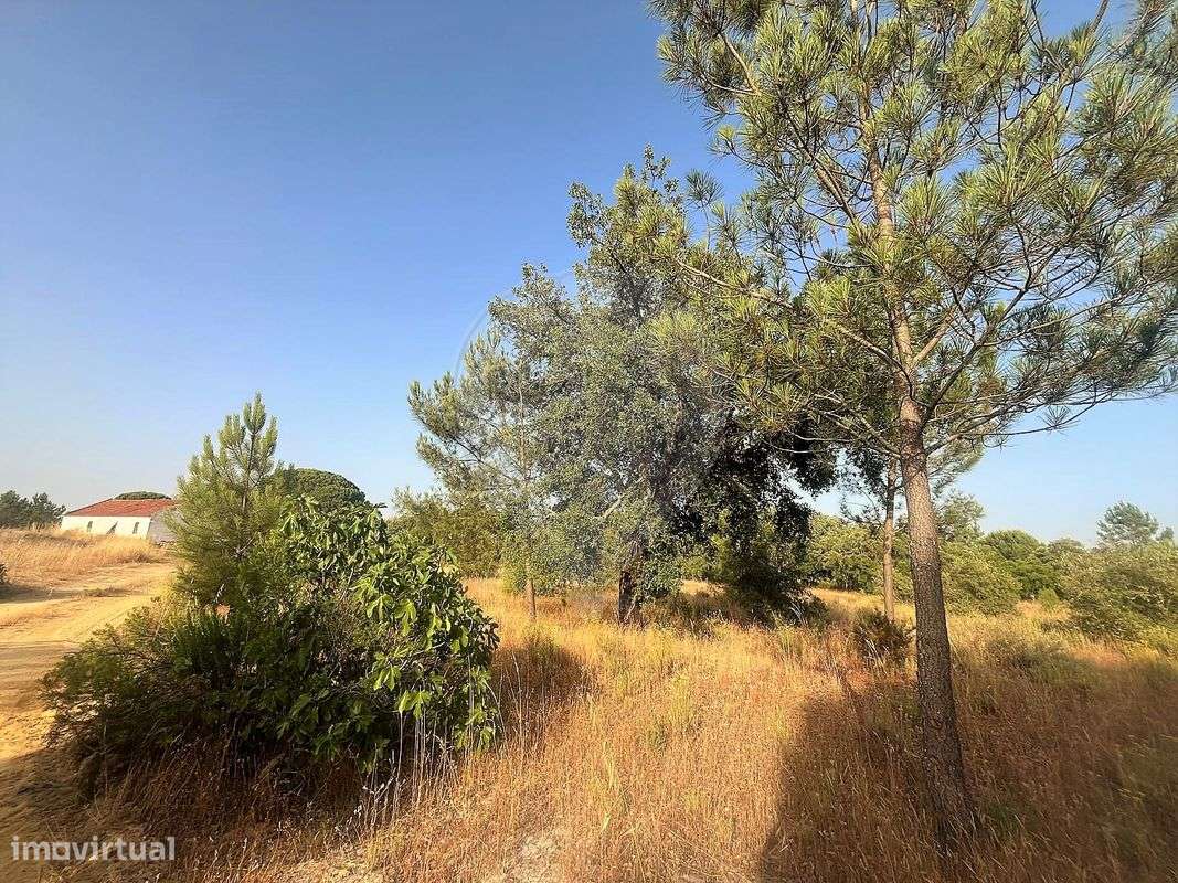 Terreno  para venda - Grande imagem: 5/7