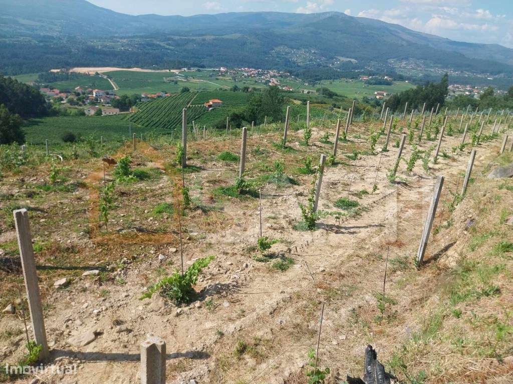 Terreno Rustico - Grande imagem: 4/11