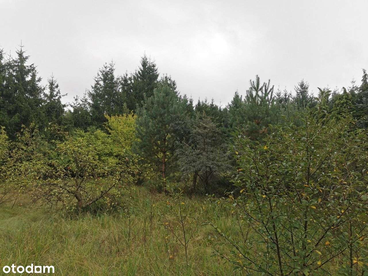 Działka przemysłowo-usługowo - Złotów, ul. Brzozow - Pełny obrazek: 4/12