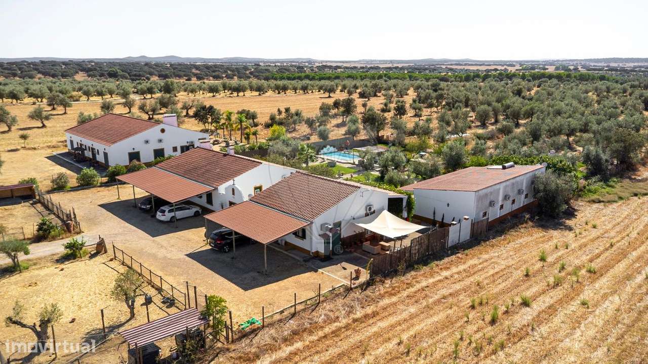 Quinta T9 para venda - Grande imagem: 5/50