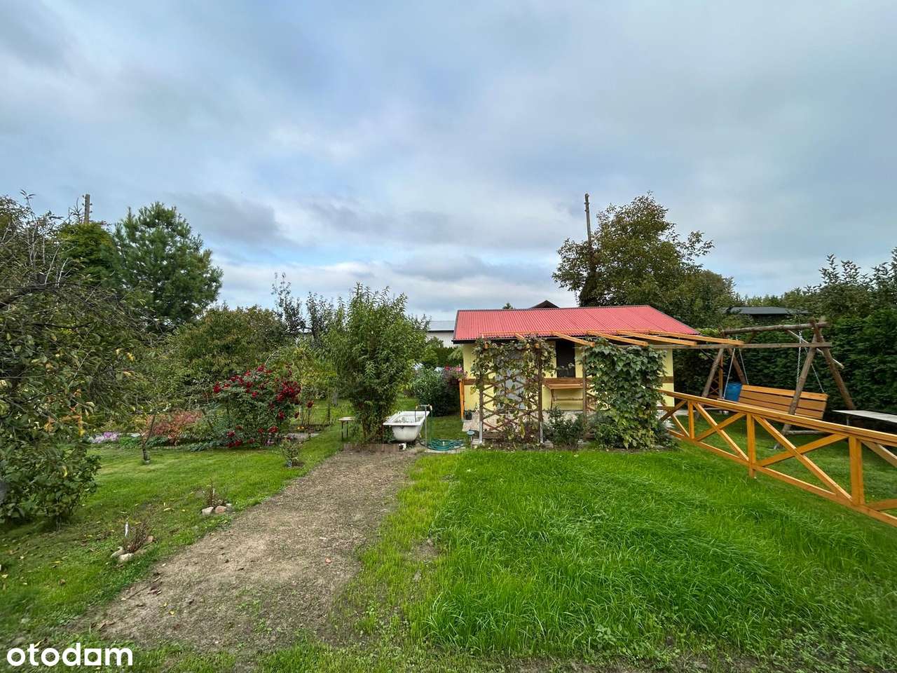 Urocza działka ROD z drewnianym domkiem - Pełny obrazek: 5/9