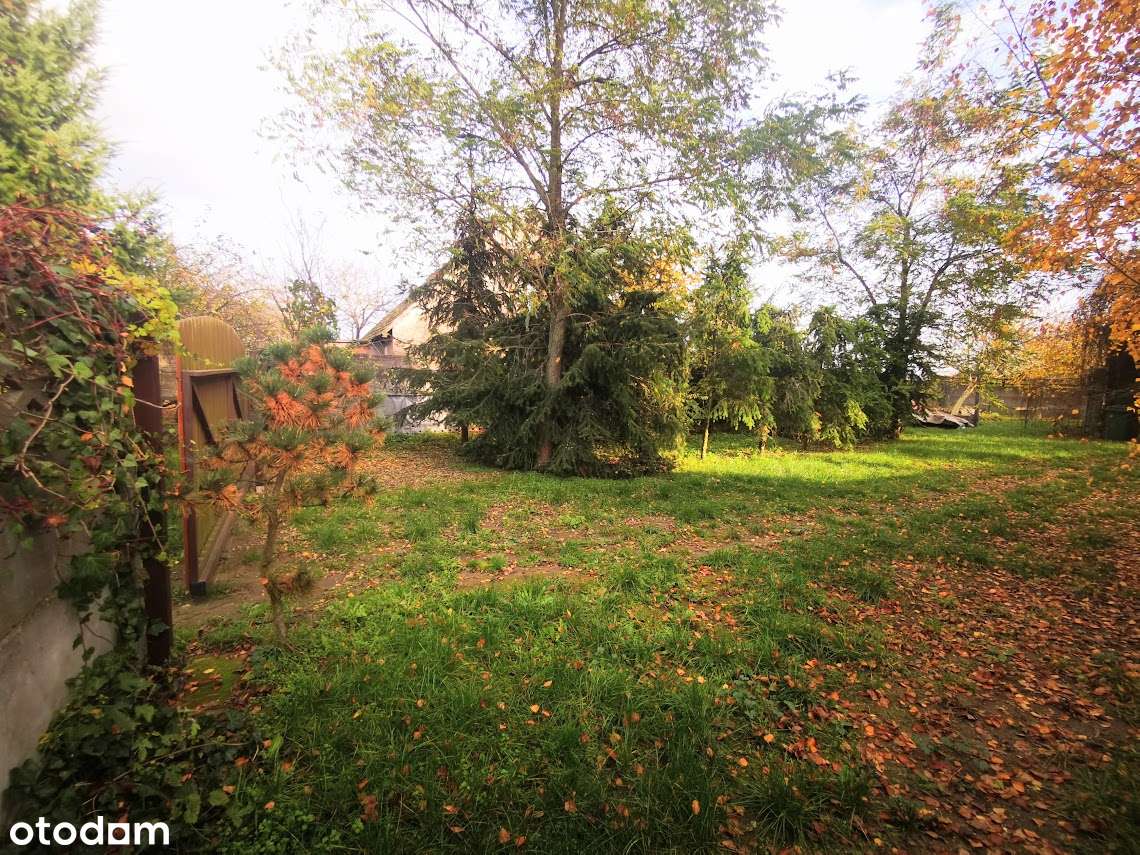 działka 2681m2/ budynek 50m2/ możliwość budowy domu-14