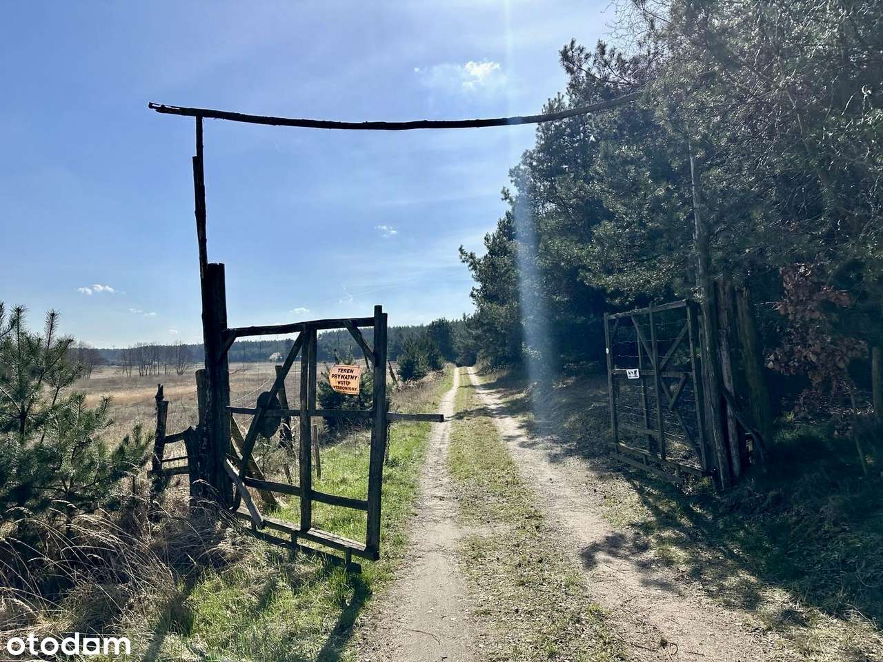 Łowyń okolice 4,92ha - sprzedaż całości - Pełny obrazek: 4/15