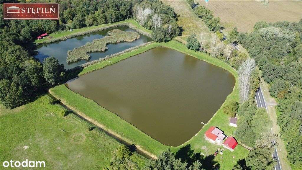 Gospodarstwo rybne z domem jednorodzinnym - Pełny obrazek: 5/12