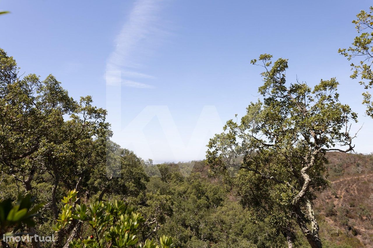 Terreno à Venda em São Francisco da Serra | 17,125 Hectares de Montado