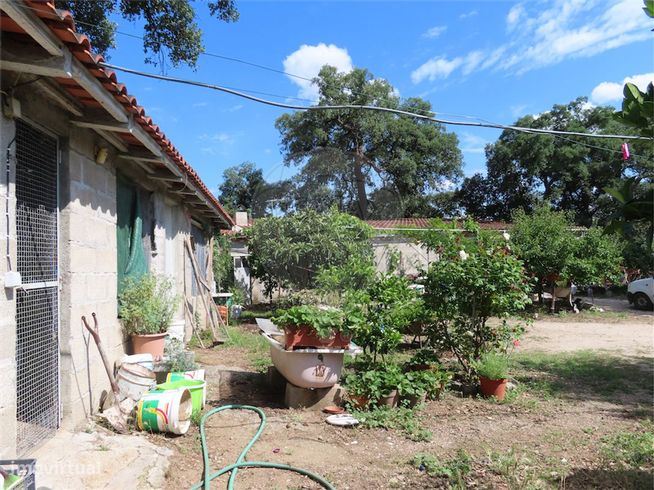 Quinta  para venda-16