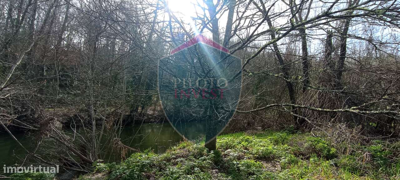 Quinta  Venda em Silgueiros,Viseu-8