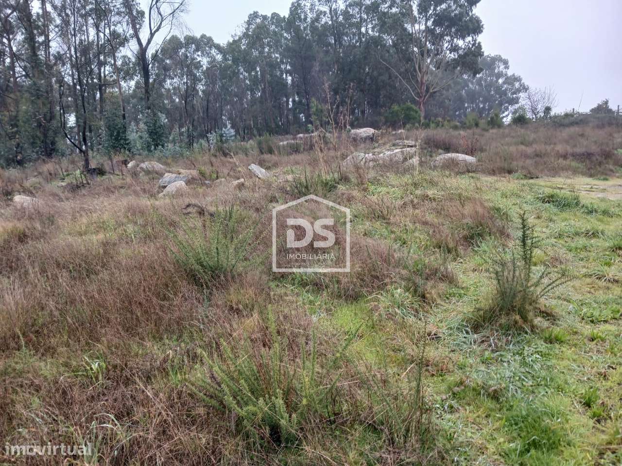Terreno  Venda em Duas Igrejas,Penafiel - Grande imagem: 5/12