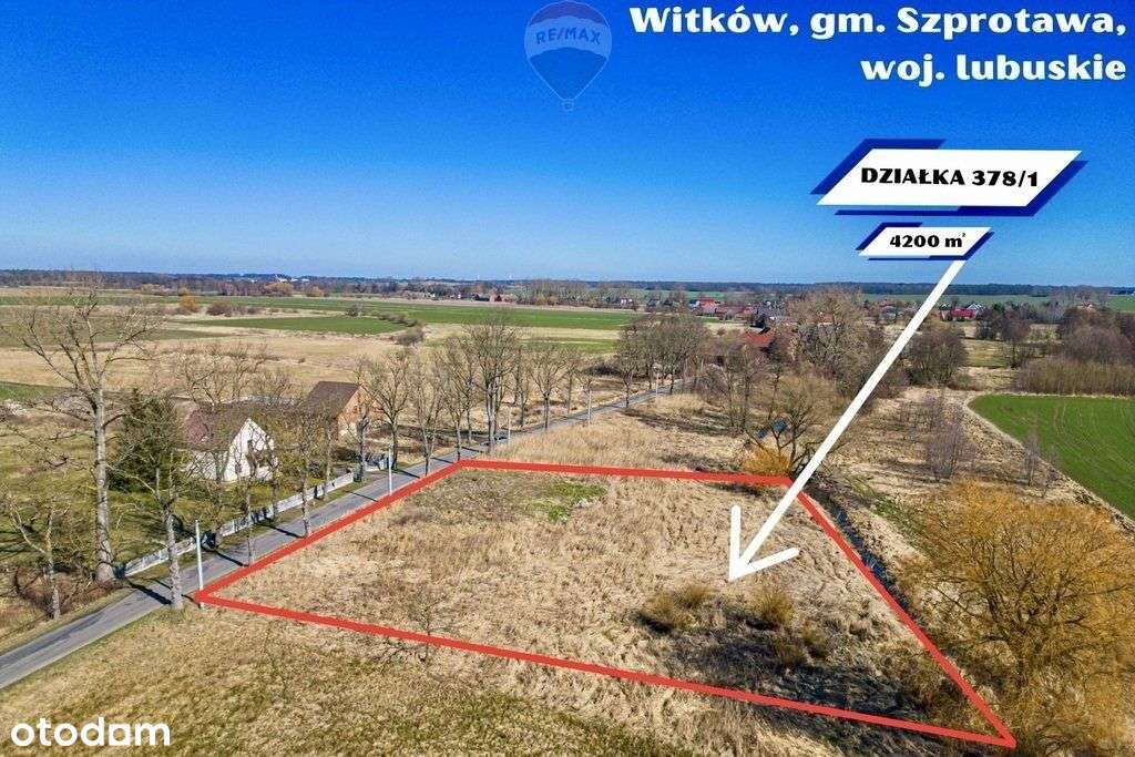 Na sprzedaż działka budowlana 4200 m² - Pełny obrazek: 5/19