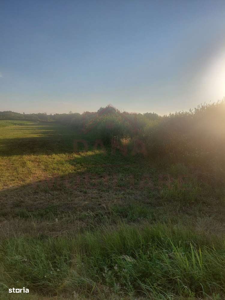 TEREN DE VÂNZARE-32480 mp CARANSEBEȘ JUD.CS,  0% COMISION - Imagine principală: 4/6