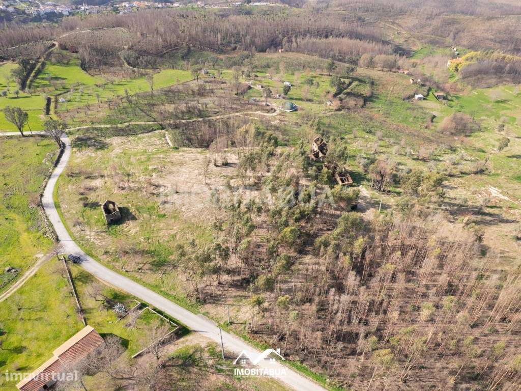 Terreno para construção ou investimento em turismo rural ou Glamping - Grande imagem: 4/18