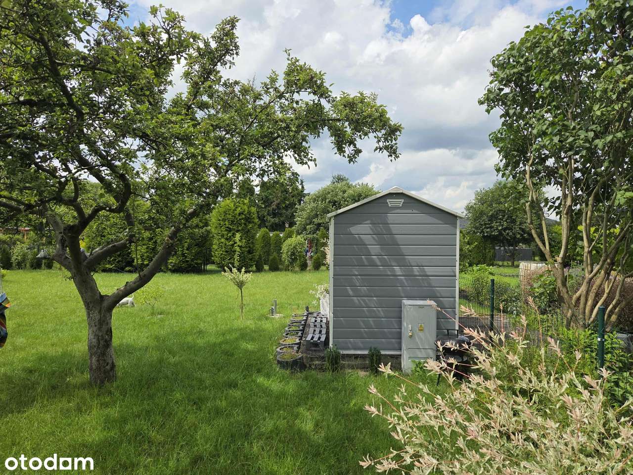 Oferuję przeniesienie prawa do działki ROD-9