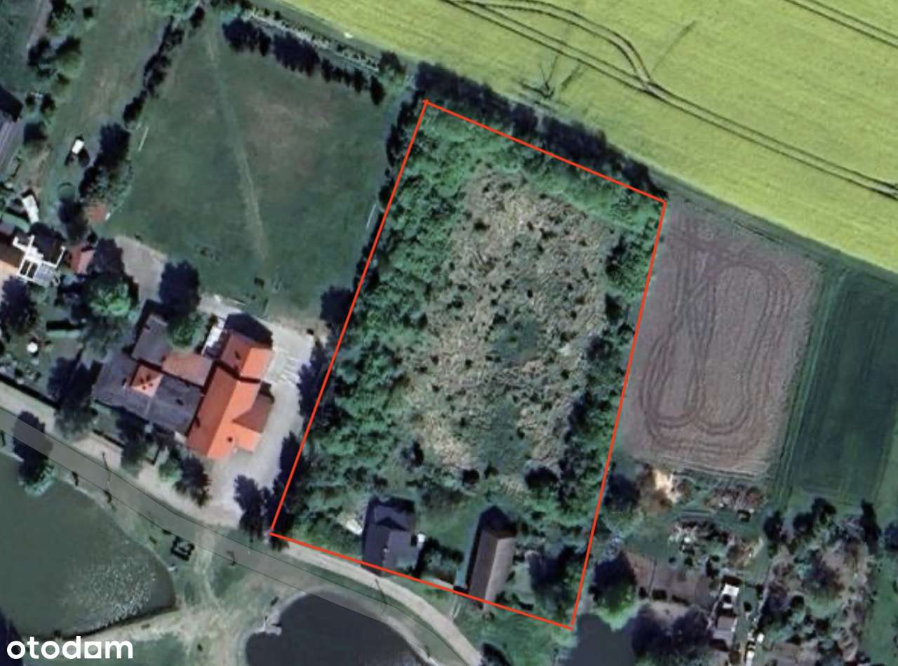 DOLINA BARYCZY gm Cieszków, dom po remoncie, siedlisko działka 0,69ha - Pełny obrazek: 3/16