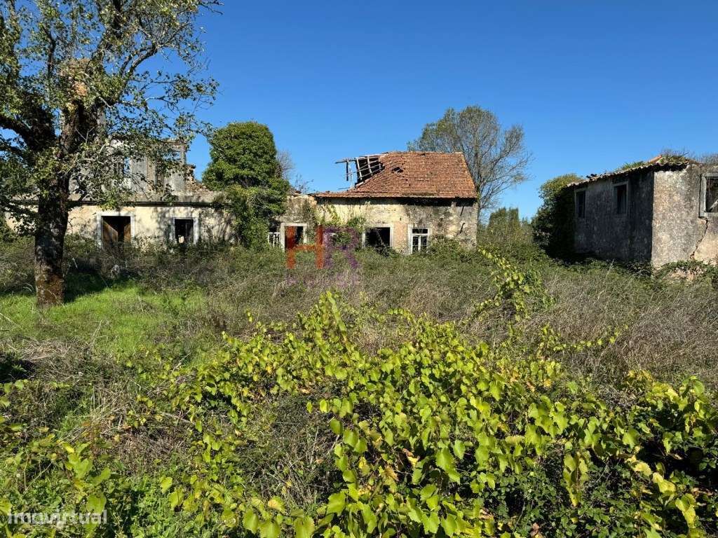 Vende-se Terreno com casas em ruina com 8000m2-13