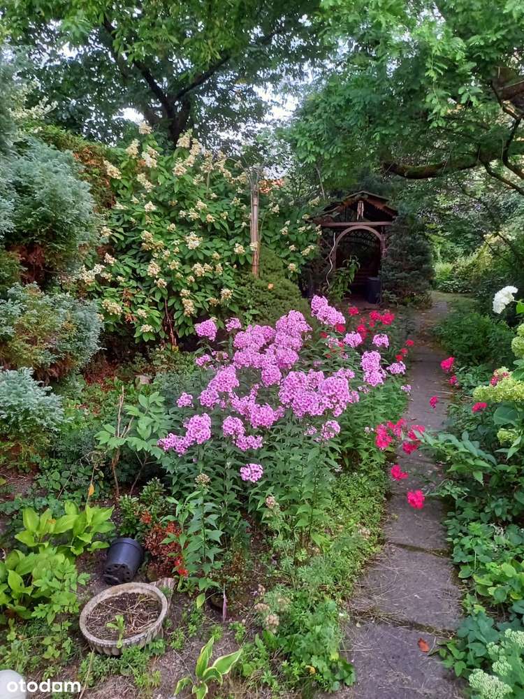 Willa poniemiecka w zabudowie bliźniaczej-19