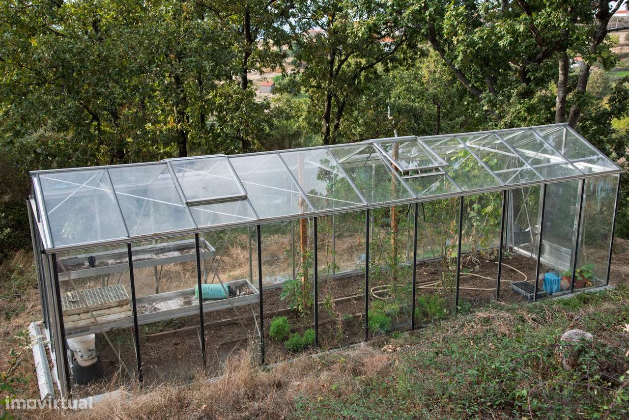 Quinta T2 Venda em Linhares,Celorico da Beira-21