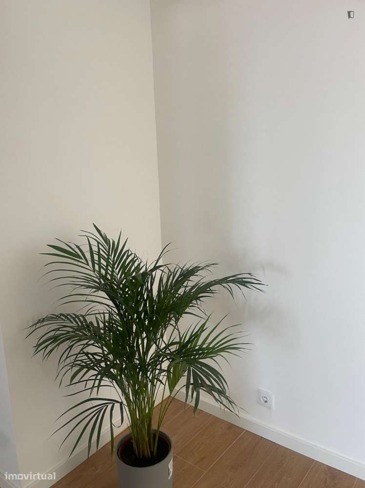 Quarto - localizado em Almada Lisbon - Grande imagem: 4/7