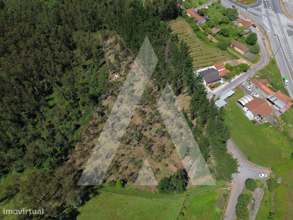 Terreno em Serém de Cima - Macinhata do Vouga - Grande imagem: 4/15