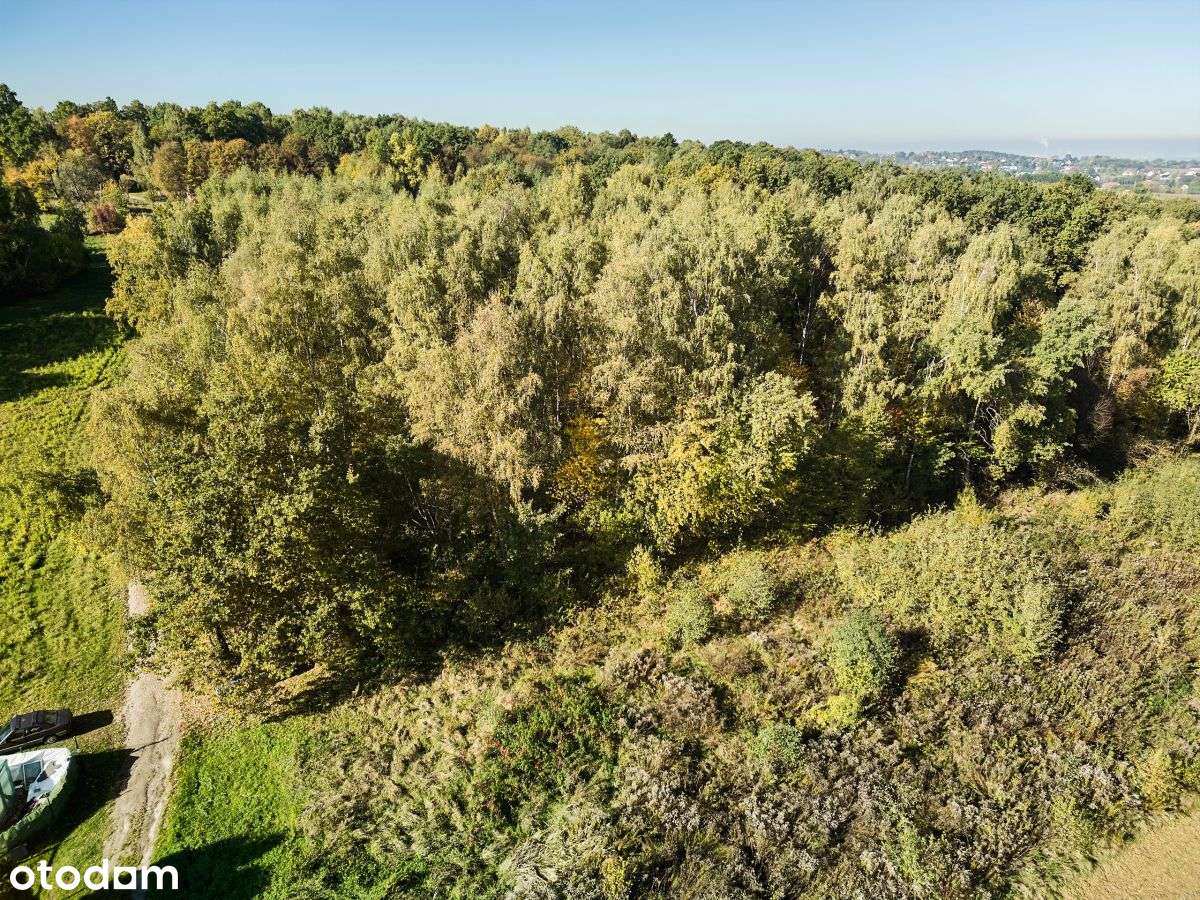 Działka rekreacyjna w cichej okolicy-13