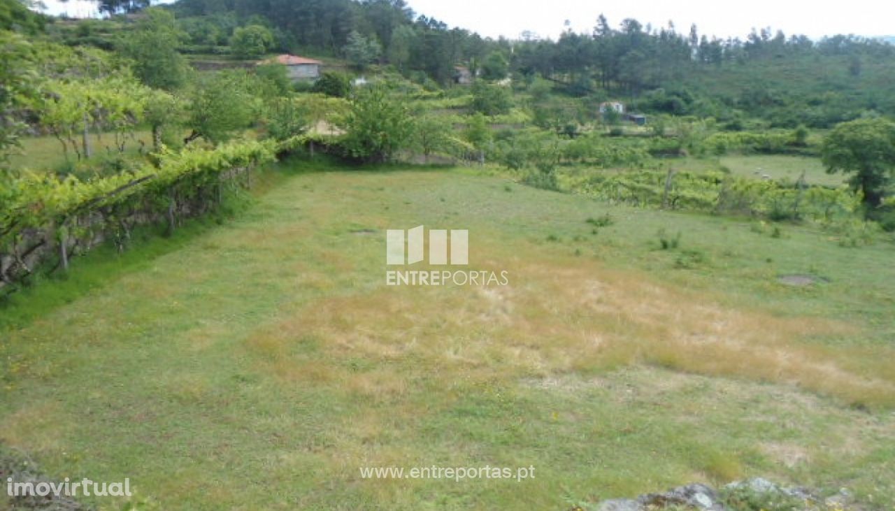 Venda Terreno, Penha Longa, Marco de Canaveses