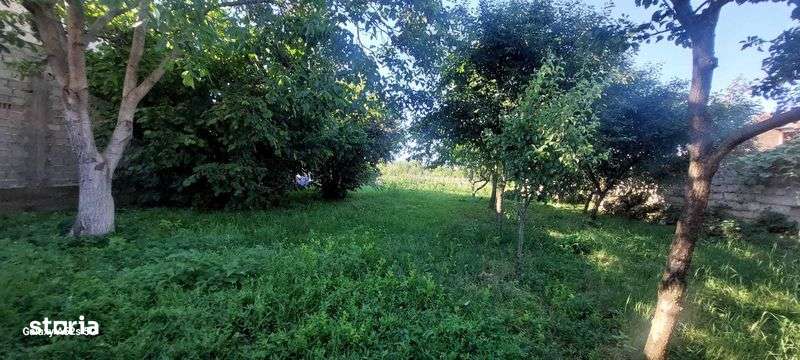 Casa solida saseasca + 2500mp teren, Bod - Imagine principală: 5/7