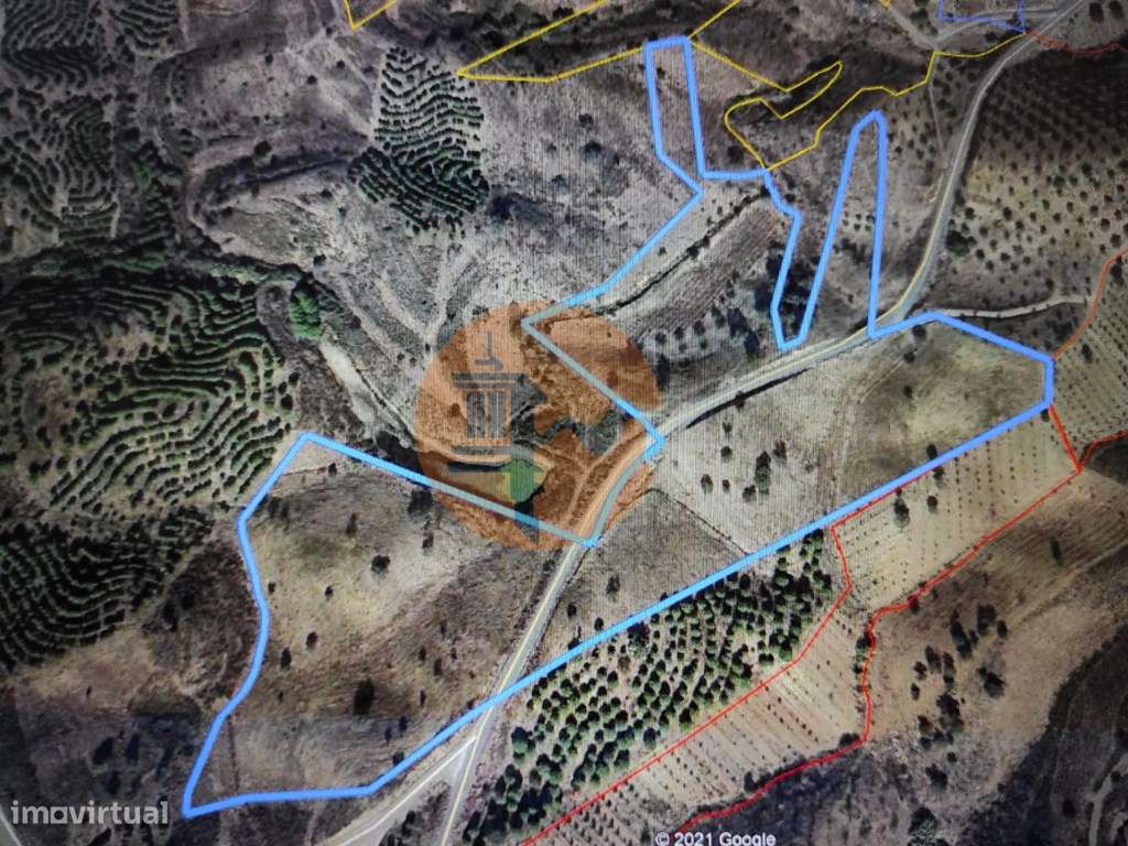 TERRENO COM 55.800 M2 COM POSSIBILIDADE DE CONSTRUÇÃO - ALCARIAS GR... - Grande imagem: 2/28