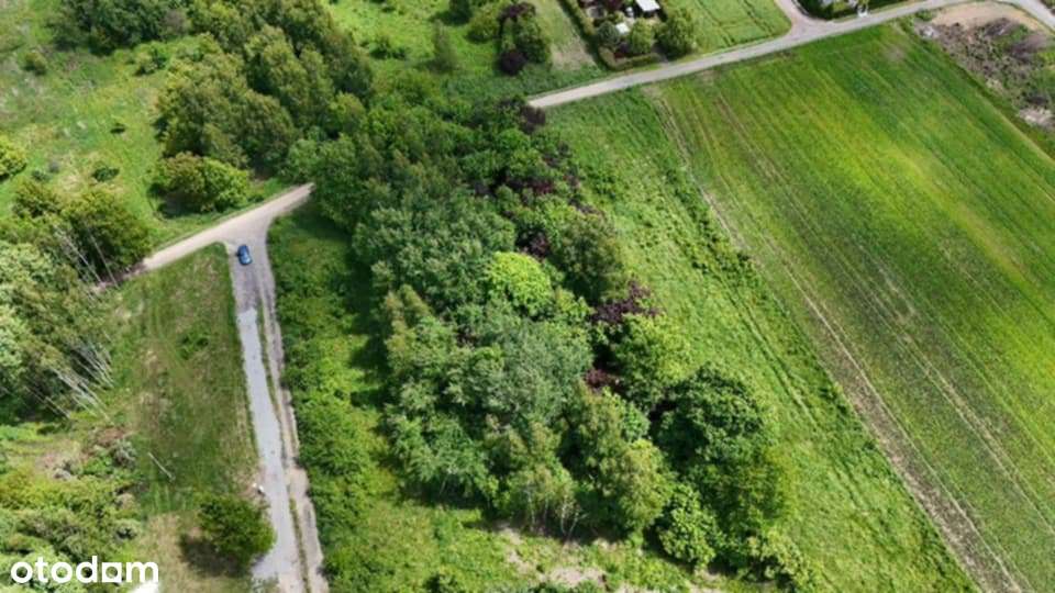 Wyjątkowa działka z lasem w uroczym zakątku !!! - Pełny obrazek: 5/6