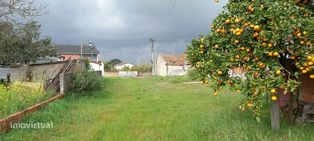 Terreno  para venda - Grande imagem: 5/5