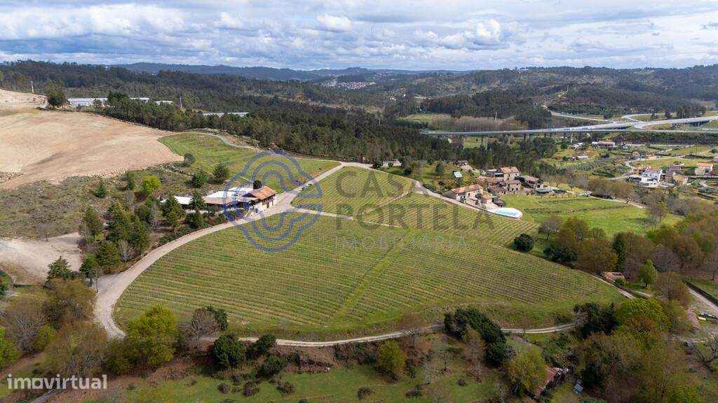 Hotel Agroturístico – Um Refúgio Único no Coração do Dão - Grande imagem: 3/10