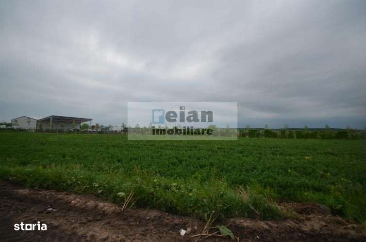 Dascalu - Teren 7ha, Deschidere 130 Ml La Dj 200, Utilitati Investitie - Imagine principală: 1/6