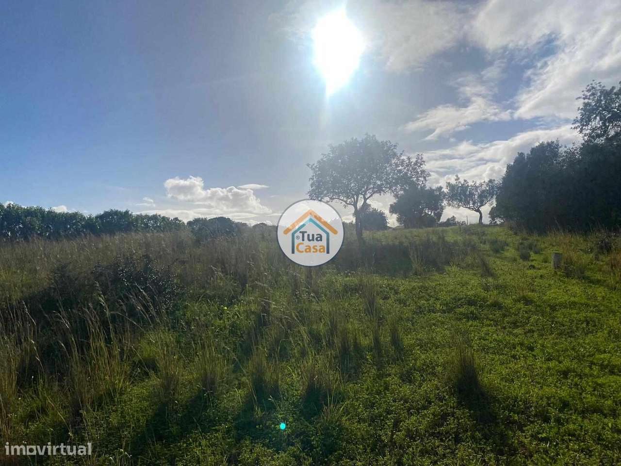 Terreno Rústico com Furo em Boliqueime - Grande imagem: 4/15