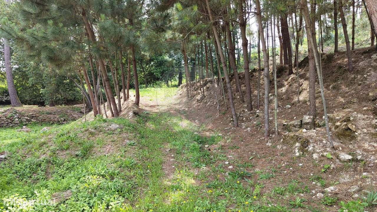 Terreno  para venda - Grande imagem: 4/8