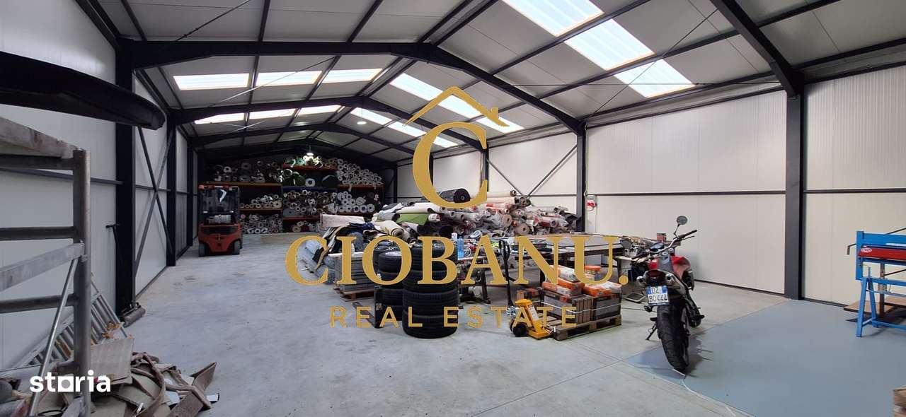 Hala de vanzare in Racari de Jos-2