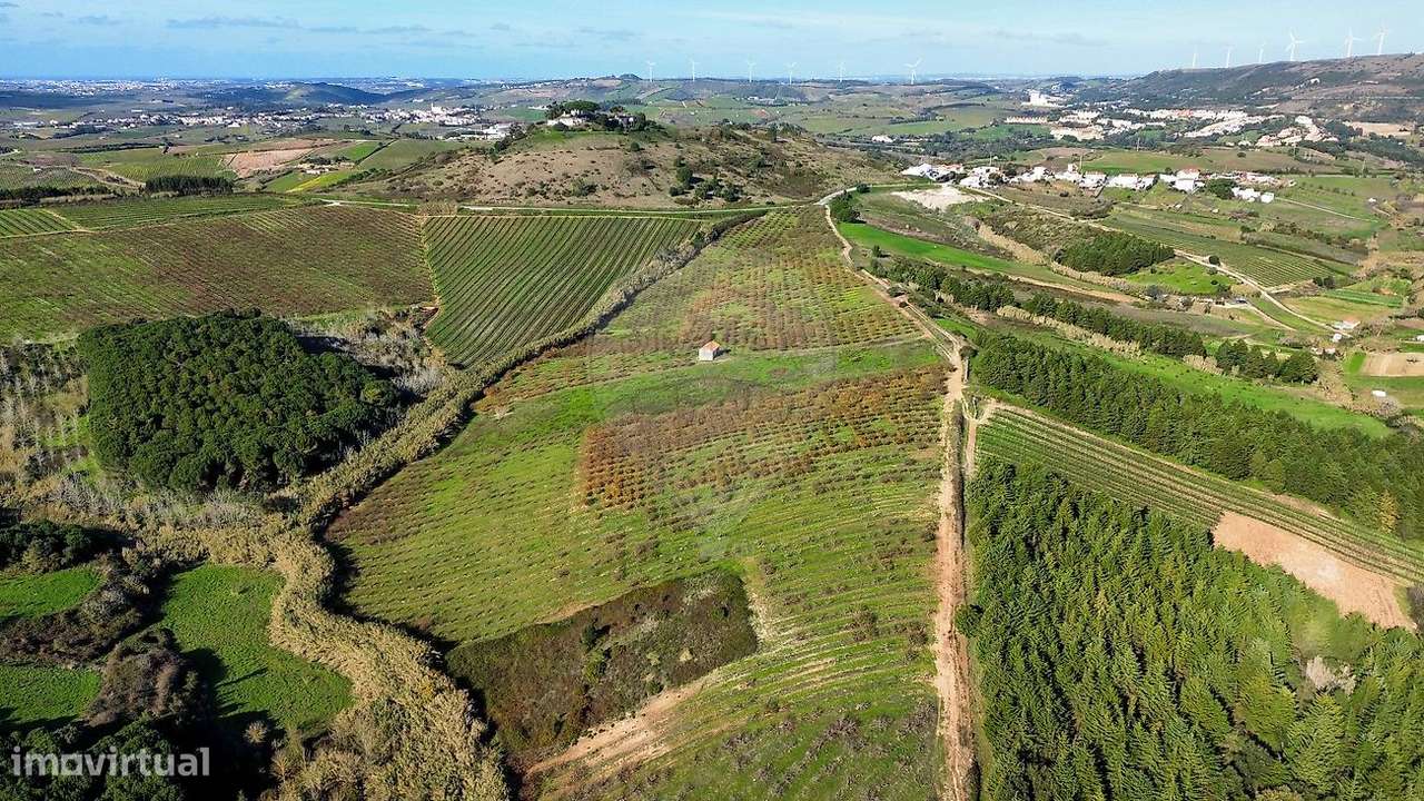 Terreno  para venda - Grande imagem: 4/10