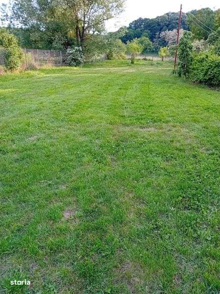 Vand 6500 mp teren intravilan - Dobrogostea Judetul Arges - Imagine principală: 5/8