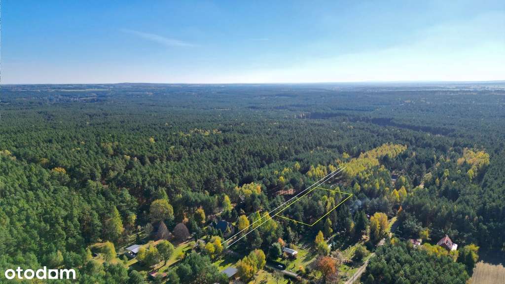 Działka budowlana 1200m² nieopodal rzeki Pilicy - Pełny obrazek: 3/3