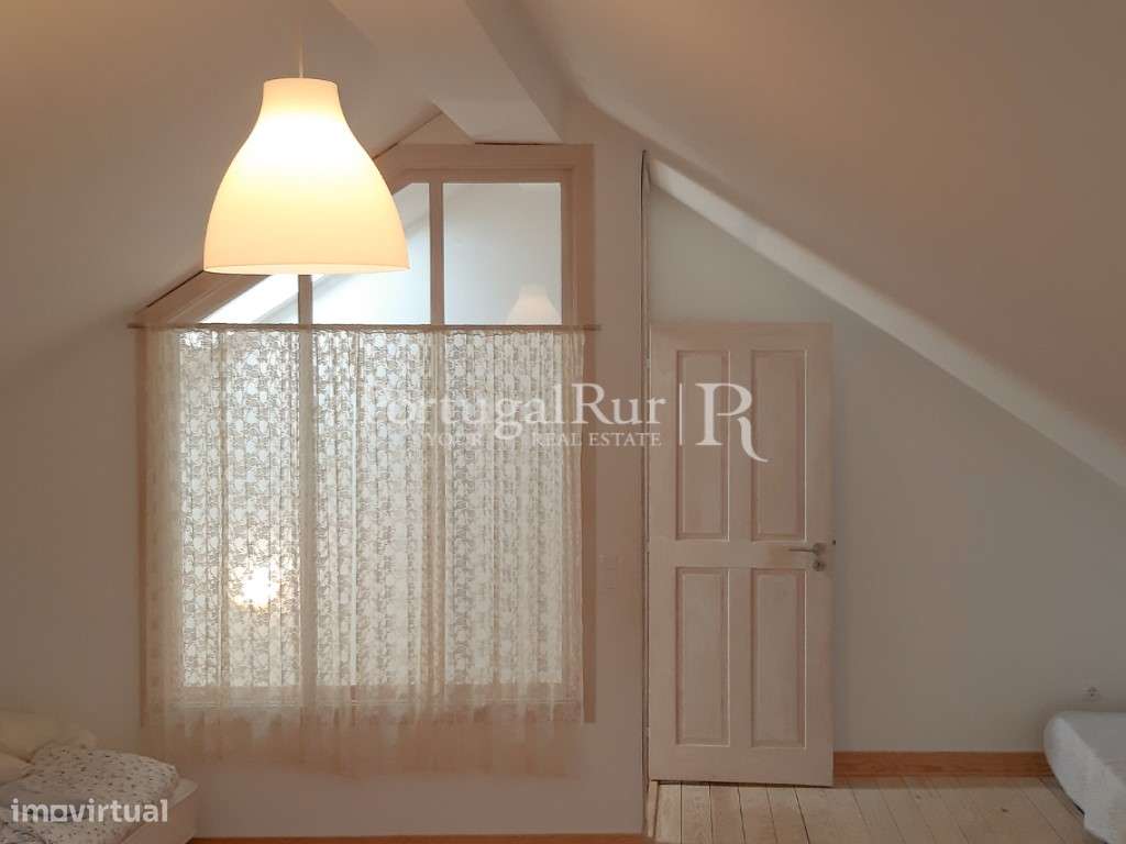 Quinta Rural 8.000 m2 - 2 Casas Habitáveis - confina com Ribeira-11