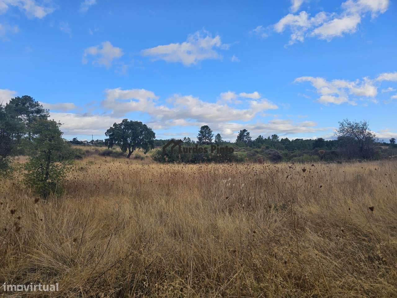 Quintinha com sobreiros-7