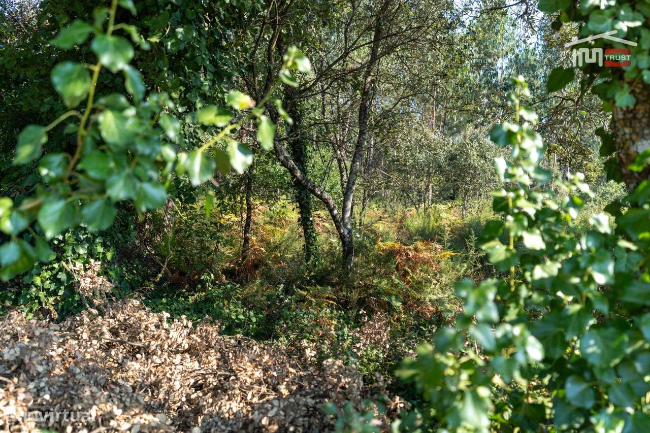 Terreno Rústico em Pederneira, Fátima - Grande imagem: 5/6