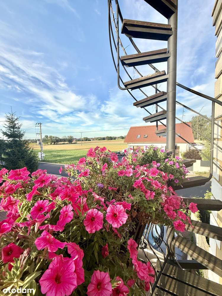 Segment skrajny 92m2 z dużym ogrodem i tarasem na dachu !-13