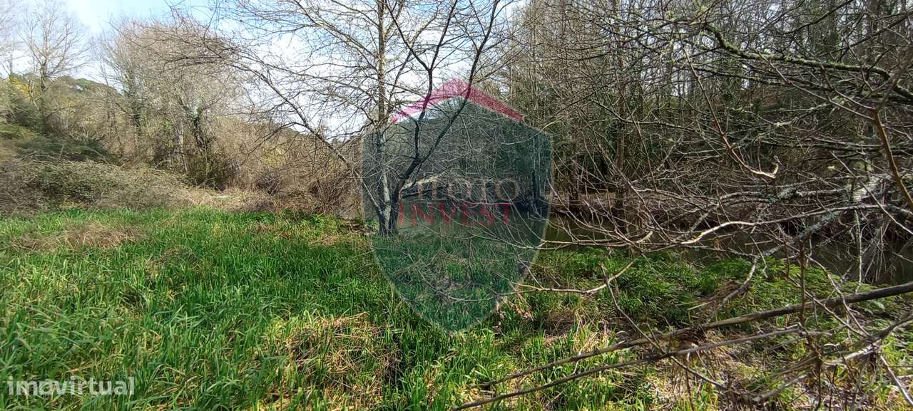Quinta  Venda em Silgueiros,Viseu-5