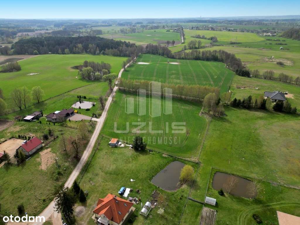 Działka 4315m2 Damaszka gm. Tczew - Pełny obrazek: 4/11