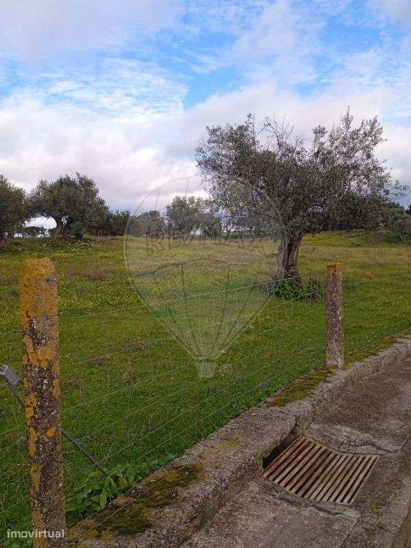 Terreno  para venda - Grande imagem: 4/4