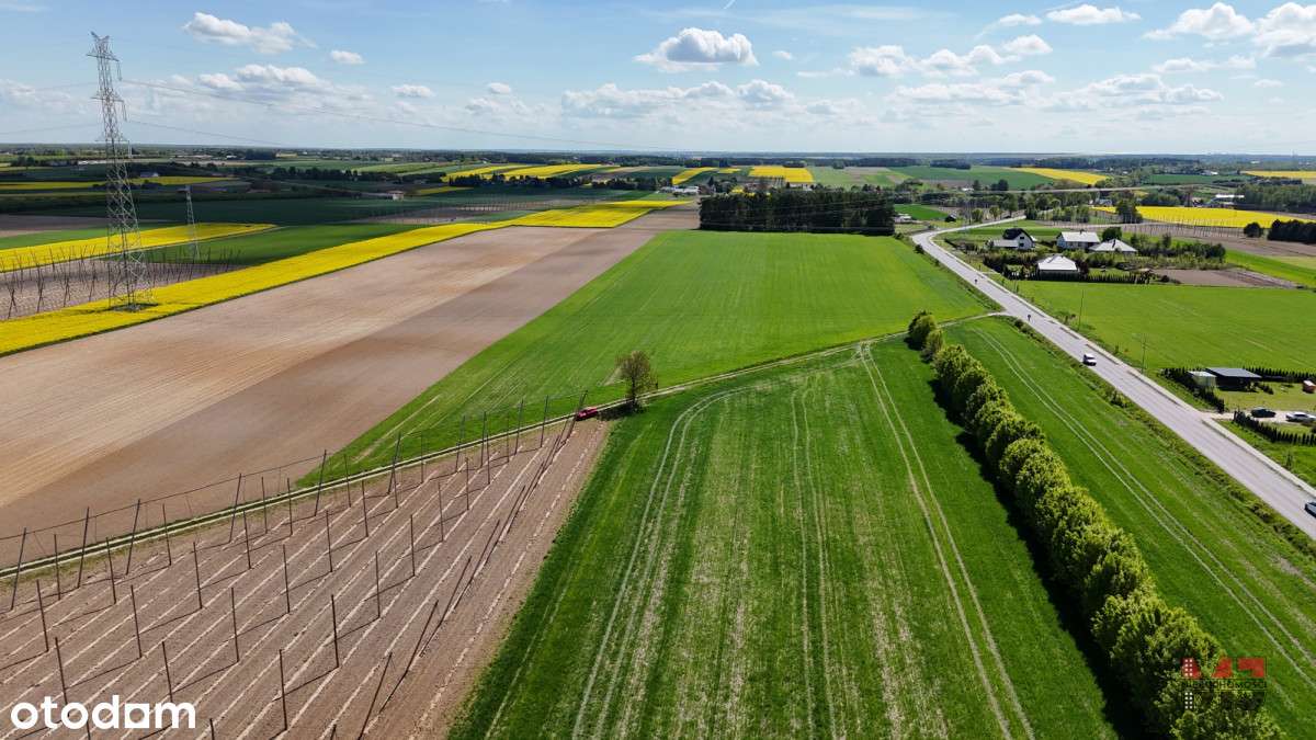 Działki budowlane - 21a - Kijany - Pełny obrazek: 4/4