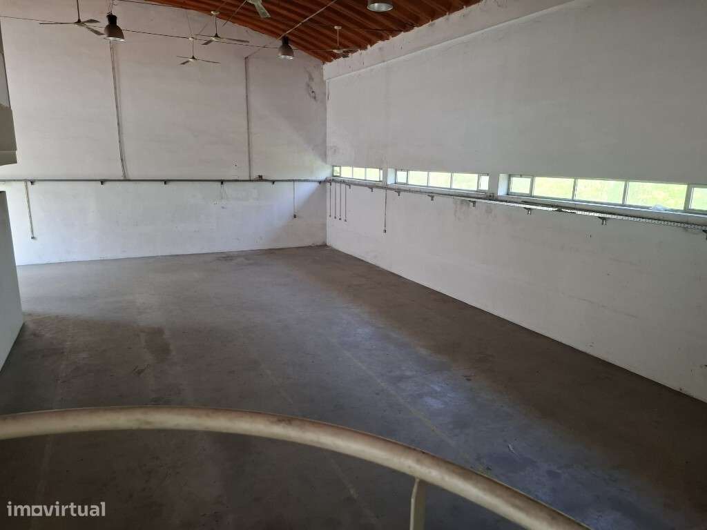 Pavilhão Industrial - Azurém-4