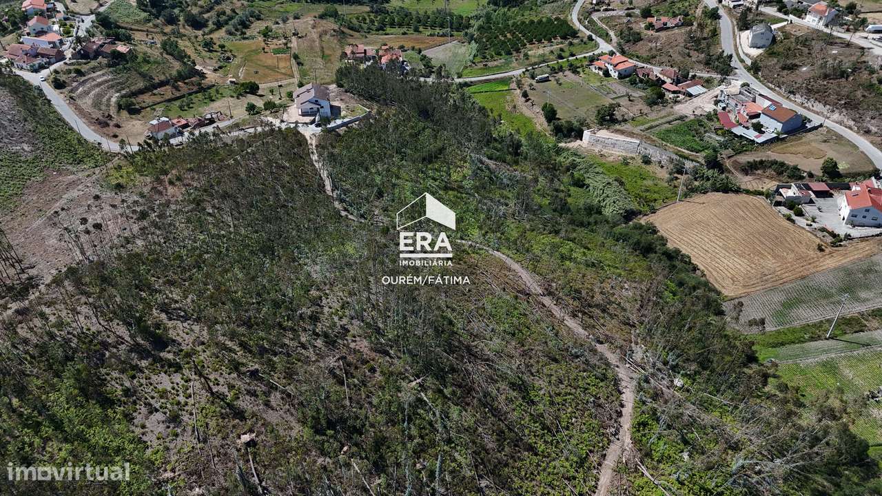 Terreno Florestal em Matas, Ourém-14