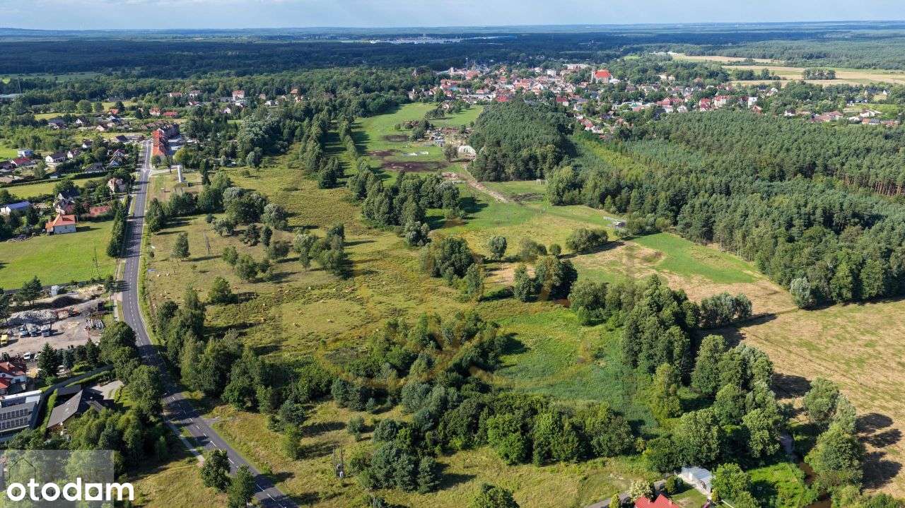 „Działki rekreacyjne – natura, cisza, potencjał!” - Pełny obrazek: 5/8