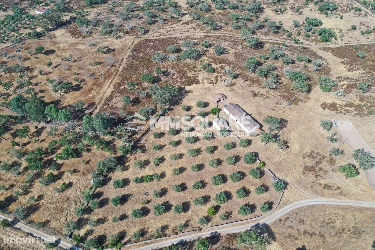 Monte do Chaparral — Ourique-6