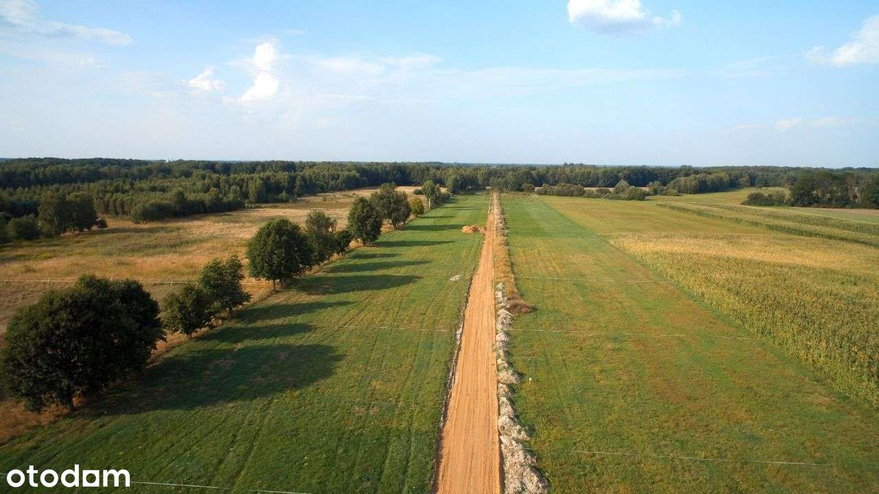 Osada "Słoneczna" w Brodowie-4